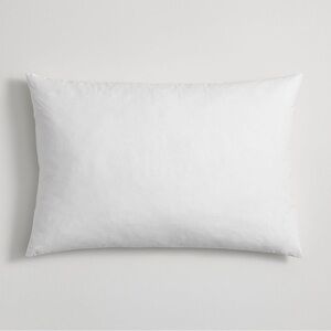 NEW! Pottery Barn Elegant White Down Pillow Insert - Standard Queen Size